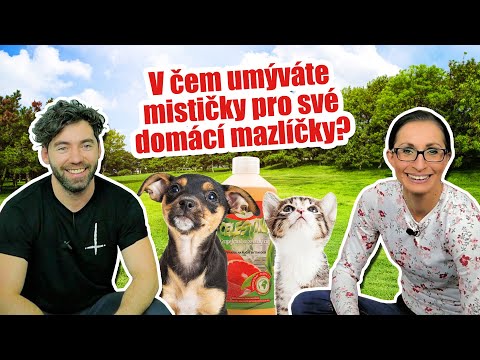 Video: Jak Pomoci Starším členům Rodiny Udržet Si Domácí Mazlíčky