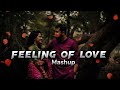 Feelings of love mashup  arjit singh  non stop lofi song  babu 4u  music lofi trending song