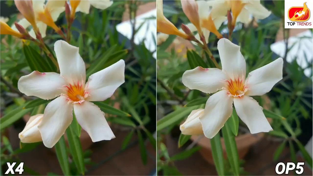 Moto X4 vs OnePlus 5 Camera Test Comparison