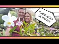 Orquidário Monte Negro - Promoção de Natal com novidades e lindas orquídeas!!!!