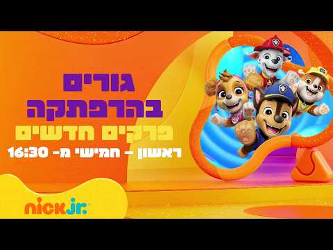 מפרץ ההרפתקאות 🐾: גורים בהרפתקה! | פרקים חדשים | ניק ג'וניור