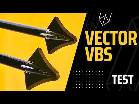 VBS by Vector Custom Shop: Broadhead Test--GREAT SCORE