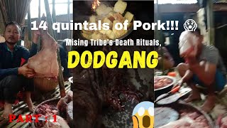 Part 1: Best Pork Cutting skills in India. Quintals of  in Total. Mising's death rituals,DODGANG