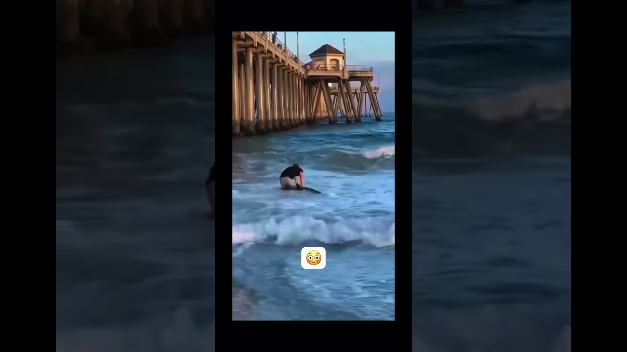 Man saves shark🦈found on beach shore. Can you guess what shore🧐