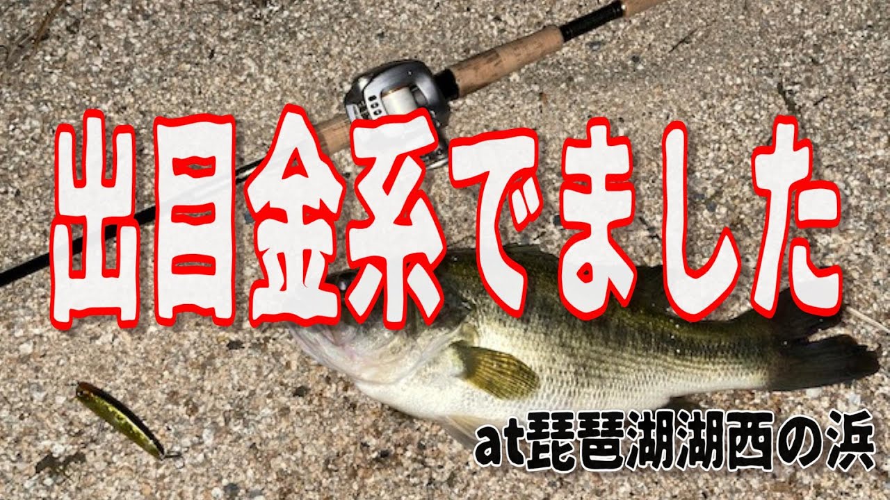 琵琶湖の湖西で夜釣りしてたら出目金系の良型バスが釣れた Youtube 琵琶湖の湖西で夜釣りしてたら出目金系の良型バスが釣れた Youtube