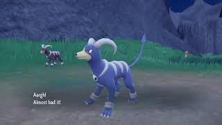 My evil shiny Houndoom