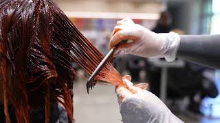 Vibrant Red Hair That Shines | Balayage + Gloss Technique