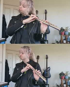Papa Roach - Last Resort (FLUTE COVER)