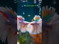 The Virtual Pet Revolution is Here🐠#shorts #shortsfeed #viral #youtube #aquarium #trending