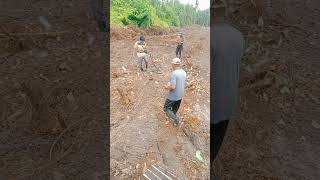 detik2 operator menemukan ular piton besar
