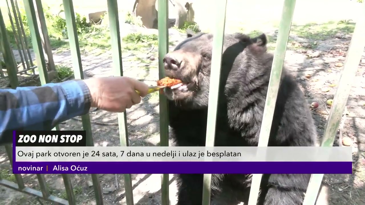 RASKRČIO DEPONIJU I OTVORIO ZOO VRT! Za 25 godina nije naplatio NIJEDNU kartu - Puls Srbije