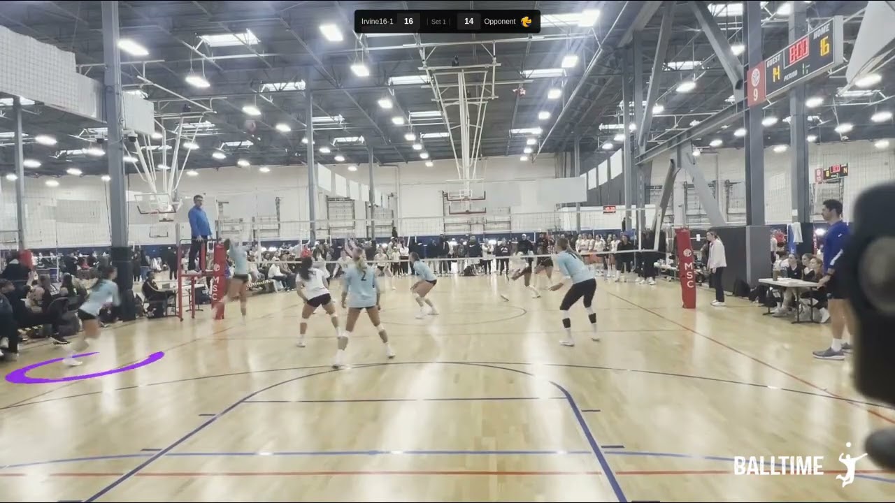 Royal Banducci #18 - Backspin