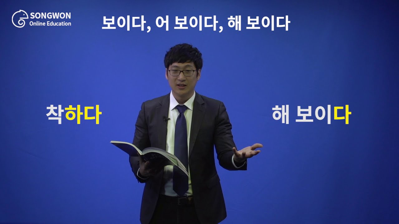 Unit 54 해 보이다 Korean Grammar for Speaking - look, seem