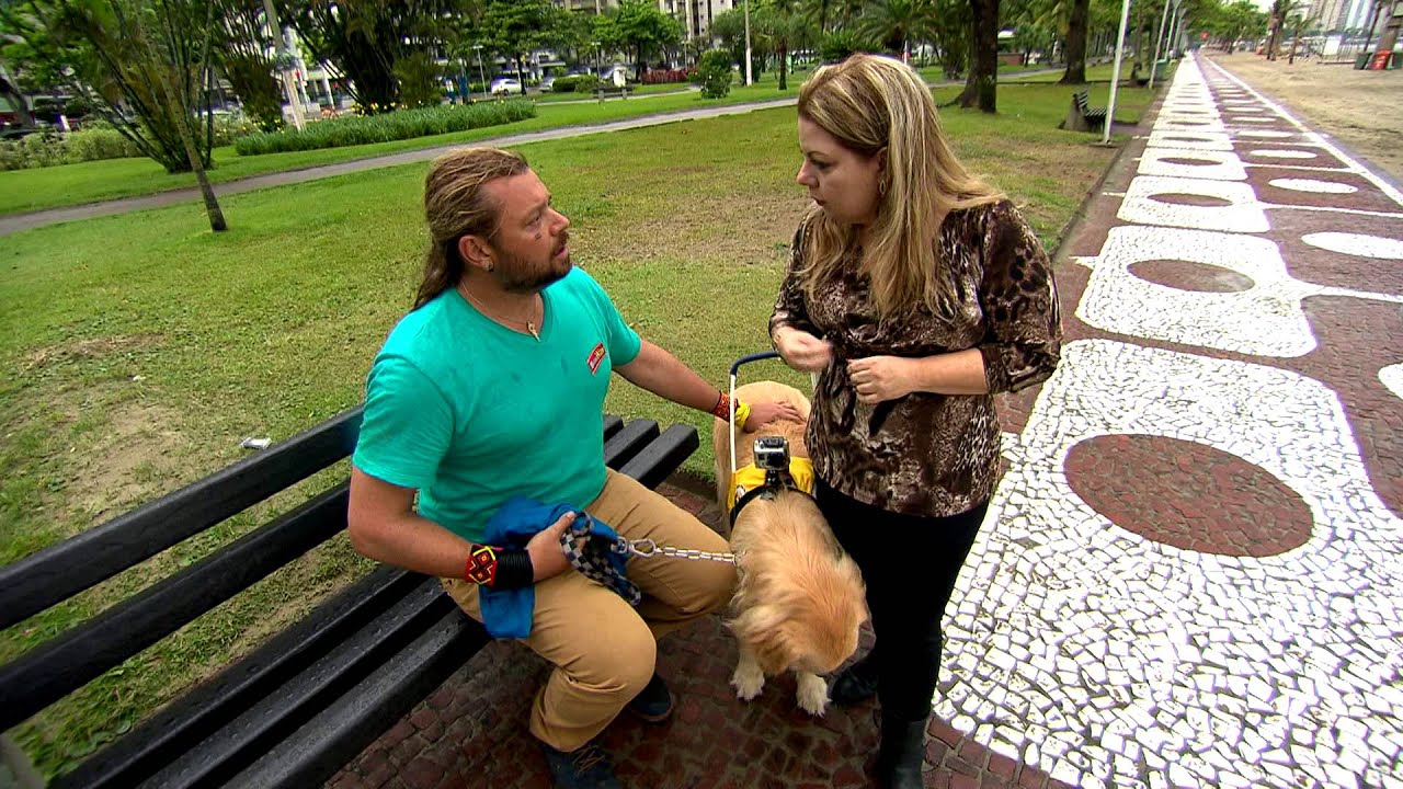 Profissão Cachorro: Cão Guia