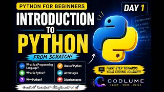 python from scratch day-1