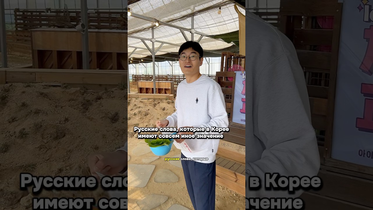 Слова, которые в КОРЕЕ имеют ИНОЕ ЗНАЧЕНИЕ 😁 