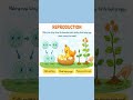 Characteristics of Living Things Explained in 50 Seconds | Science Short &amp; Quick Recap