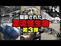 撮影された漂流怪生物 第3弾