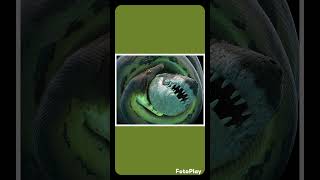 The Titanoboa (Titanoboa cerrejonensis) #reptiles #nature #prehistoric #wildlife