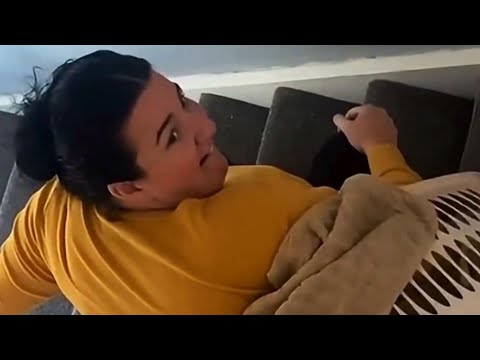 British Memes 164 | Funny Brits | Laugh Out Loud