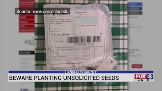 State warns against possible 'brushing' scam