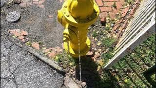 A Beautiful Day To Take A Pee VERY SATISFYING