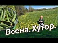 Поездка на хутор....ВЕСНА...СВЕЖИЕ ОГУРЧИКИ