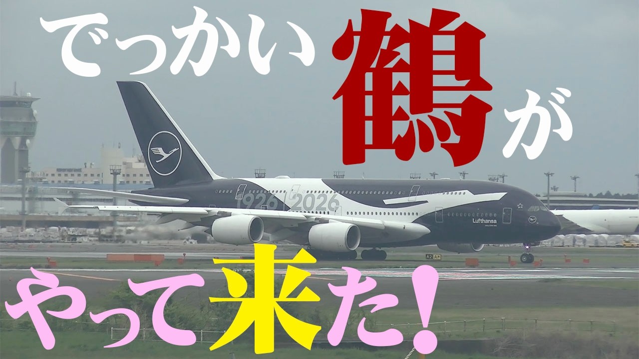【成田空港】”巨鶴”降臨!100周年記念特別塗装機を用いて約15年ぶりに成田へ姿を現したルフトハンザのA380をひたすら待ってみた