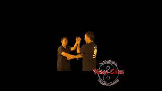 #martialarts #selfdefense #boxing #kungfu #wingchun #miami  #mma #beginnerfriendly #doralmiami