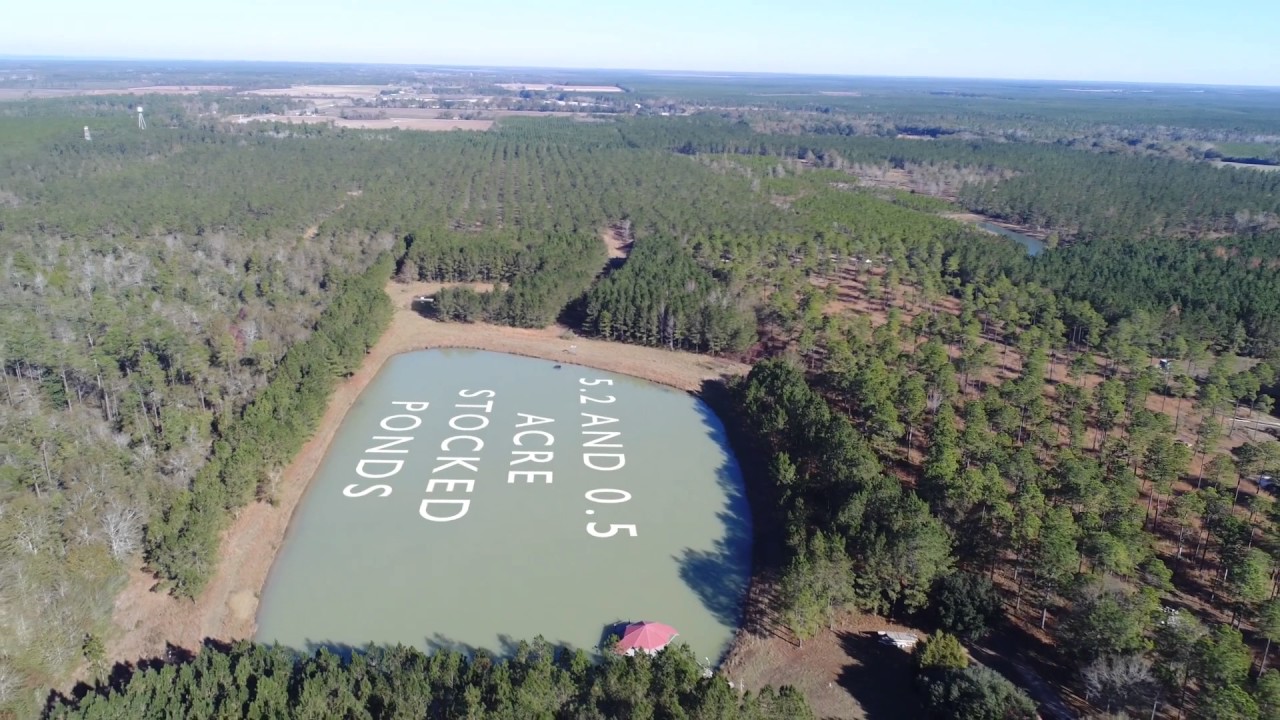 Land For Sale & Ponds, Harvey Lane , Pace Florida YouTube
