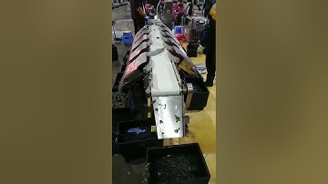 Abalone automatic sorting machine