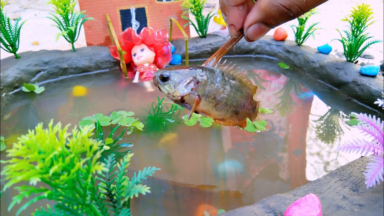 fishing Exciting, use a mini water pump, catch many of fish in paddy ...