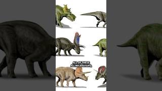 Can Natural Selection INCREASE Genetic Information?