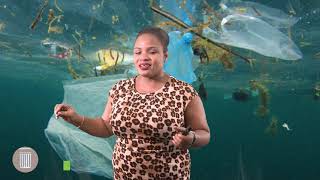 Science - Grade 5: Water Pollution