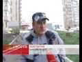 Небывалое нашествие голубей в одном из дворов Красноярска