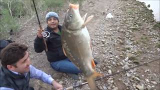 Şamandırayla Sazan Avı Float Fishing For Carp Part-3 Kırşehir/Turkey