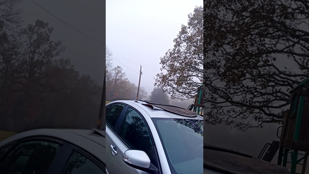 Reckless driving Stehle Arkansas license plate