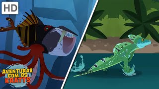 Aventuras com os Kratts - Octopus e lagartos (Episódios Completos)