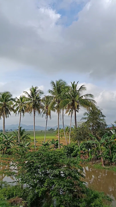 Pemandangan Indah Alam Pedesaan #shorts #viral #trending