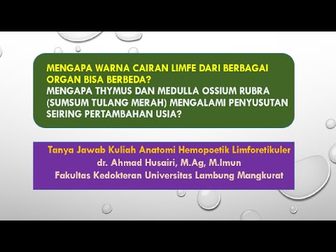 Video: Pengumpulan CDNA Fascicularis Macaca Berasal Dari Sumsum Tulang, Buah Pinggang, Hati, Pankreas, Limpa, Dan Timus