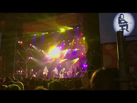 2019大暖音樂祭 -  董事長樂團 - 瘋人