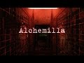 SilentHill Alchemilla #2: Рождение, жизнь, смерть.