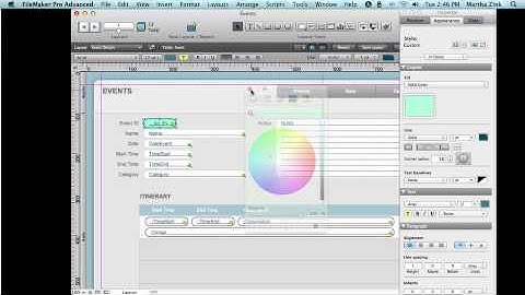 Delve into FileMaker 12 Interface - Object States (Fields)