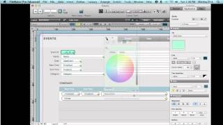 Celebrity Delve into FileMaker 12 Interface - Object States (Fields) Profile