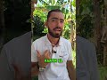 nunca le levantes la voz a tu madre #shortvideo #viral #shorts #short