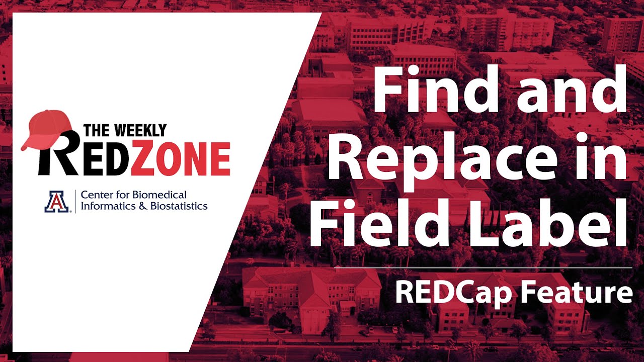 REDZone - Find and Replace in Field Label