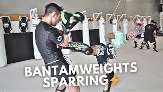 When Two Pro Mma Bantamweights Spar Breakdown