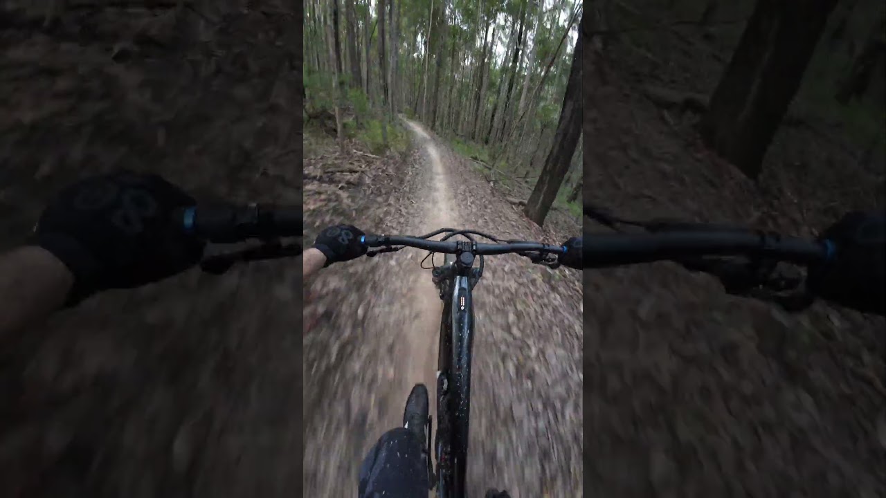 Mount Cotton MTB | Powerful Howl