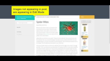 Images in WordPress are not showing up and appearing on post page.Speed Booster Plugin?