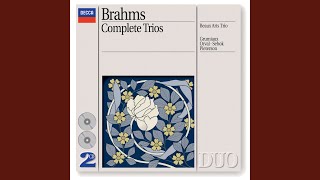 Brahms: Horn Trio In E Flat, Op. 40: 3. Adagio mesto